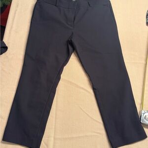Loft Marisa Skinny 18P petite Black Pants
